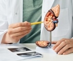 What is Branchiootorenal Spectrum Disorder?