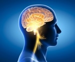 The Role of the Brain Stem in Maintaining Neurological Health