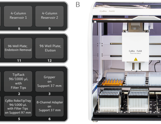 Automated extraction of plasmid DNA