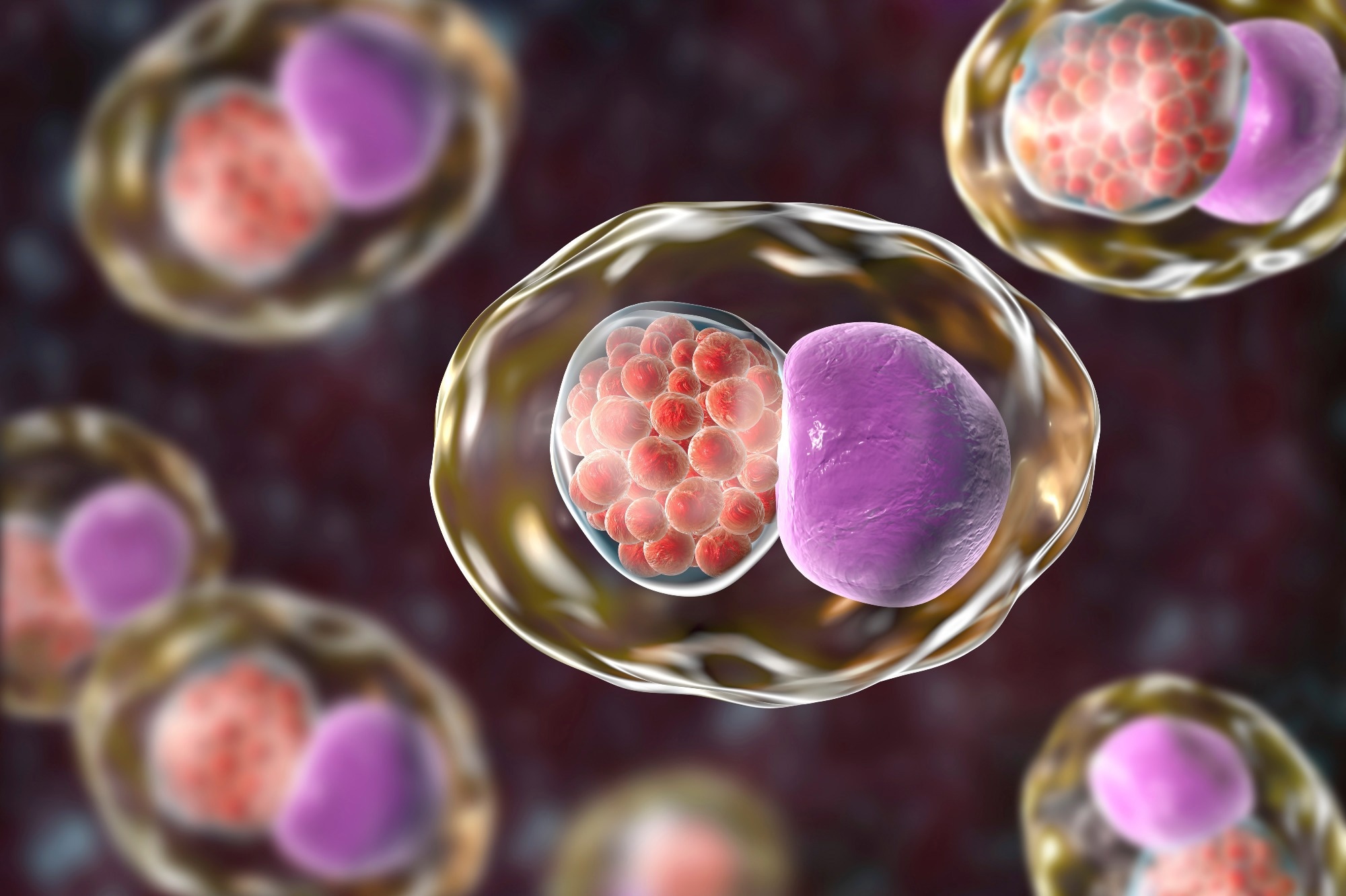Chlamydia trachomatis bacteria, 3D illustration showing reticulate bodies of Chlamydia forming intracellular intracytoplasmic inclusions (small red) near the cell nucleus (purple). Image Credit: Kateryna Kon / Shutterstock