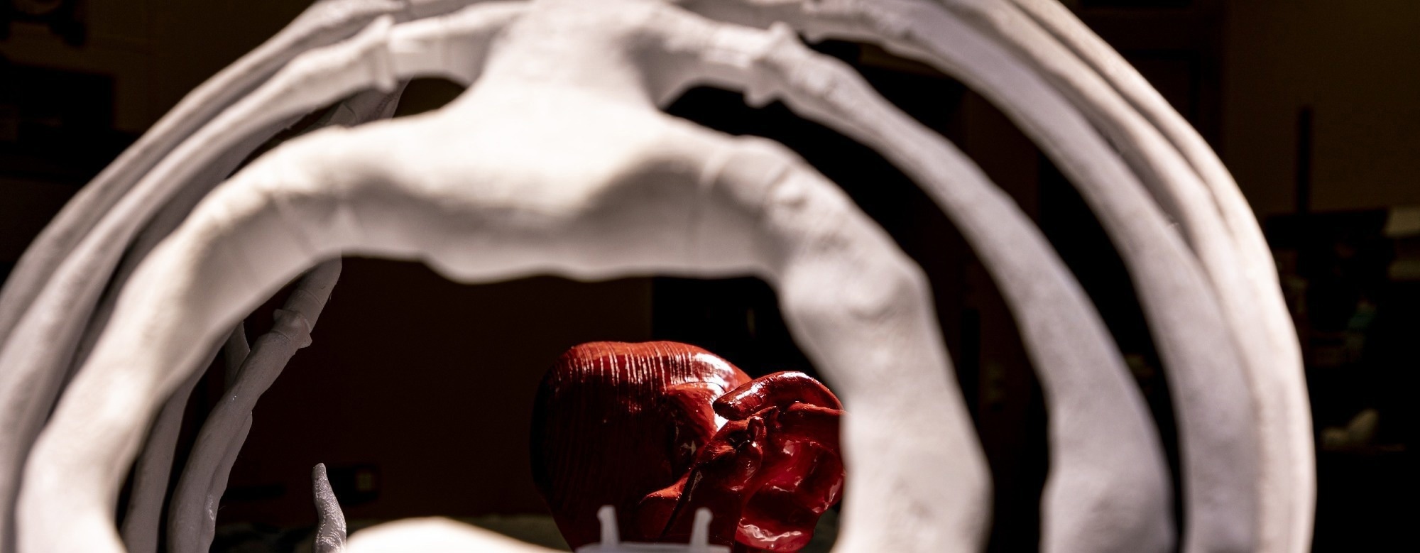 Realistic 3D-Printed Thoracic Models for Surgical Training