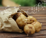 What is the chemistry behind roast potatoes