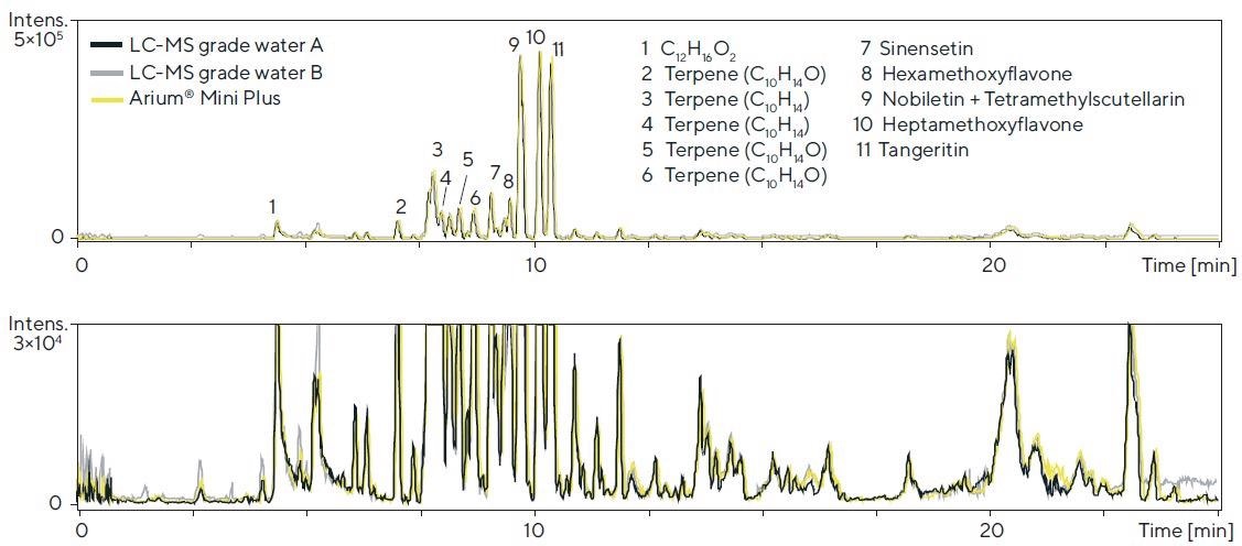 LC-TOF-MS chromatograms (BPC, base peak chromatogram; 70 – 1,600 Da) of an orange oil (diluted 1:20) obtained with the respective water sources in the mobile phase (detection: 50 – 1,600 Da (ESI+); column: Kinetex RP-C18, 1.7 μm, 100 × 2.1 mm; eluents: acetonitrile and water, each with 0.1% formic acid in the gradient mode; flow rate: 0.55 mL/min.; lower chromatogram: magnified view).