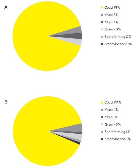 A. Composition of the microbiological population grown on the test gelatin filters. Almost all microbes grown on test filters is Cocci. This figure shows a breakdown of microbes grown on soybean-caseindigest agar medium plates from test filters. B. Composition of the microbiological population grown on the reference gelatin filters. Almost all microbes grown on reference filters are Cocci. This figure shows a breakdown of microbes grown on soybean-casein-digest agar medium plates from reference filters.