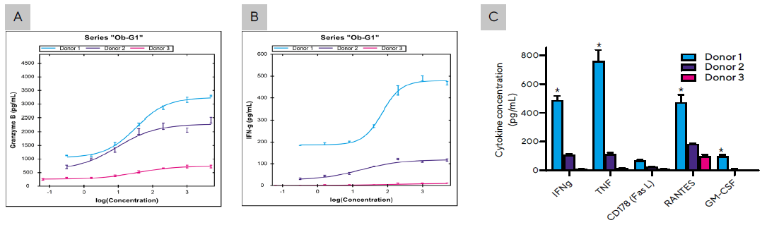 Secretion levels of (A) Granzyme B and (B) IFNγ by PBMCs from all 3 donors cultured with Raji tumor cells as described in Figure 3C at Ob-G1 concentrations ranging between 0–5 µg/mL. (C) Summary of cytokines produced by PBMCs from three donors co-cultured with Raji cells in the presence of Ob-G1 mAb at 1 µg/mL. Bar graph data presented as Mean +/- 1 SD, 3 replicates/mAb dose. (*) Significantly higher levels of cytokines produced by Donor 1 compared to Donor 2 or 3; p < 0.05.