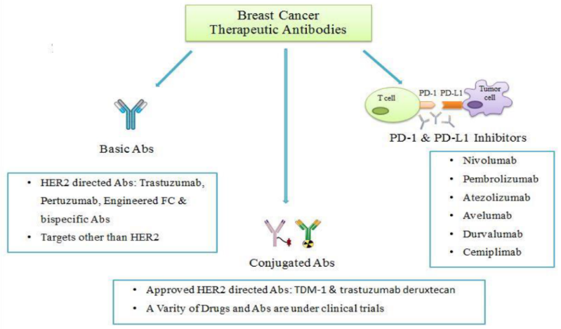 Reviewing immunological breast cancer targets