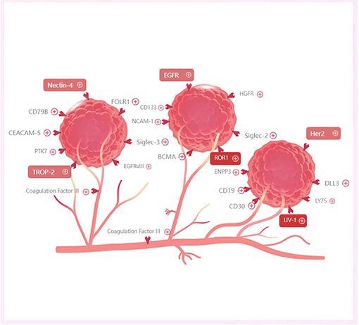 Reviewing immunological breast cancer targets