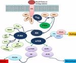 Therapeutic strategies for brain tumors: An overview