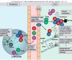 Multiple Sclerosis: Examining the pathology, etiology, and potential therapeutic drugs