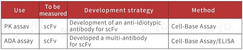 How to select a development strategy for anti-idiotypic antibodies