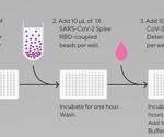 Detecting Anti-SARS-CoV-2 antibodies through the use of flow cytometry