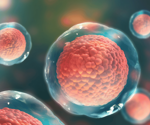 Understanding challenges in cancer therapy utilizing mesenchymal stem cells (MSCs)