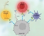 Culturing T-cells efficiently and effectively