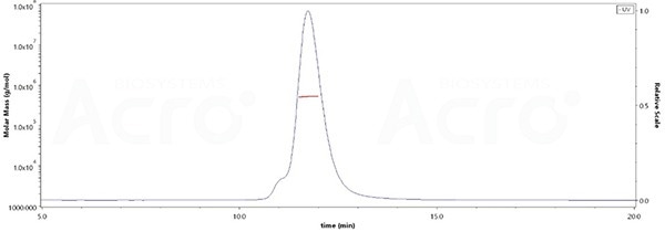The purity of SARS-CoV-2 Spike Trimer, His Tag (BA.2.75/Omicron) (Cat. No. SPN-C522f) is more than 90% verified by SEC-MALS. The molecular weight of this protein is around 496-548 kDa.