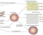 Culturing organoids for utilization in preclinical modeling of human disease