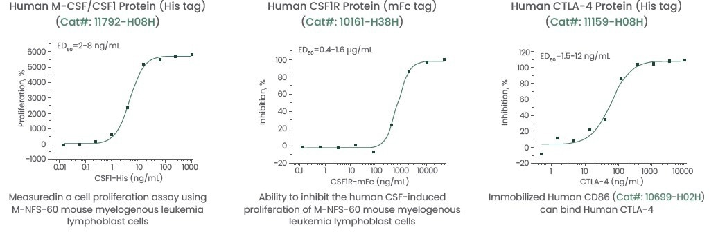 Featured products of high-quality CSF1, CSF1R, and CTLA-4