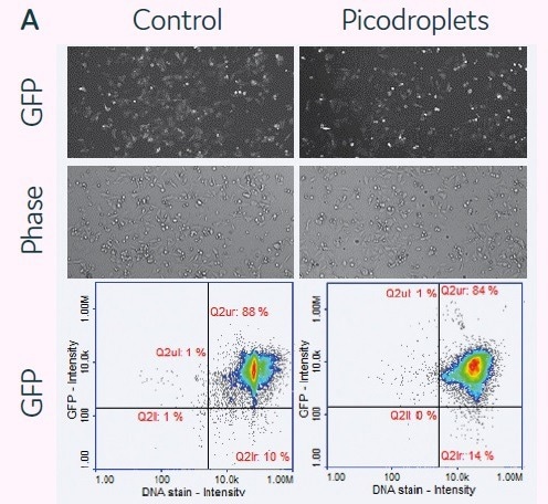 An introduction to cell engineering in picodroplets