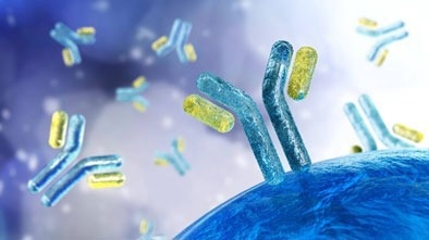 Optimizing antibody development through recombinant antibody services