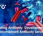 Optimizing antibody development through recombinant antibody services