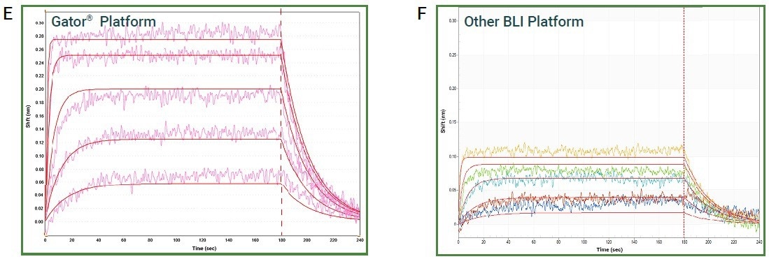 Accelerating antibody discovery through next-generation biolayer interferometry (BLI)