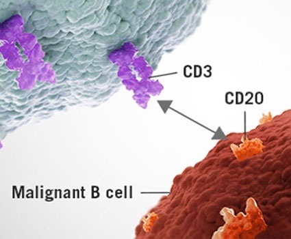 Important targets for small cell lung cancer treatment: DLL3 & Notch