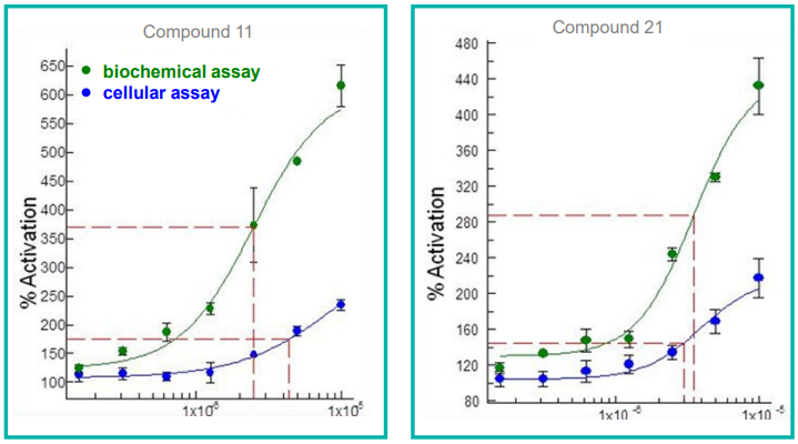 concentration curves for compound activity in both biochemical and cellular assays.