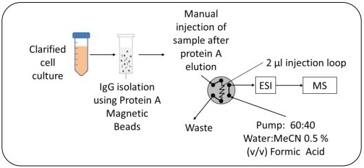 Overview of sample preparation and workflow.