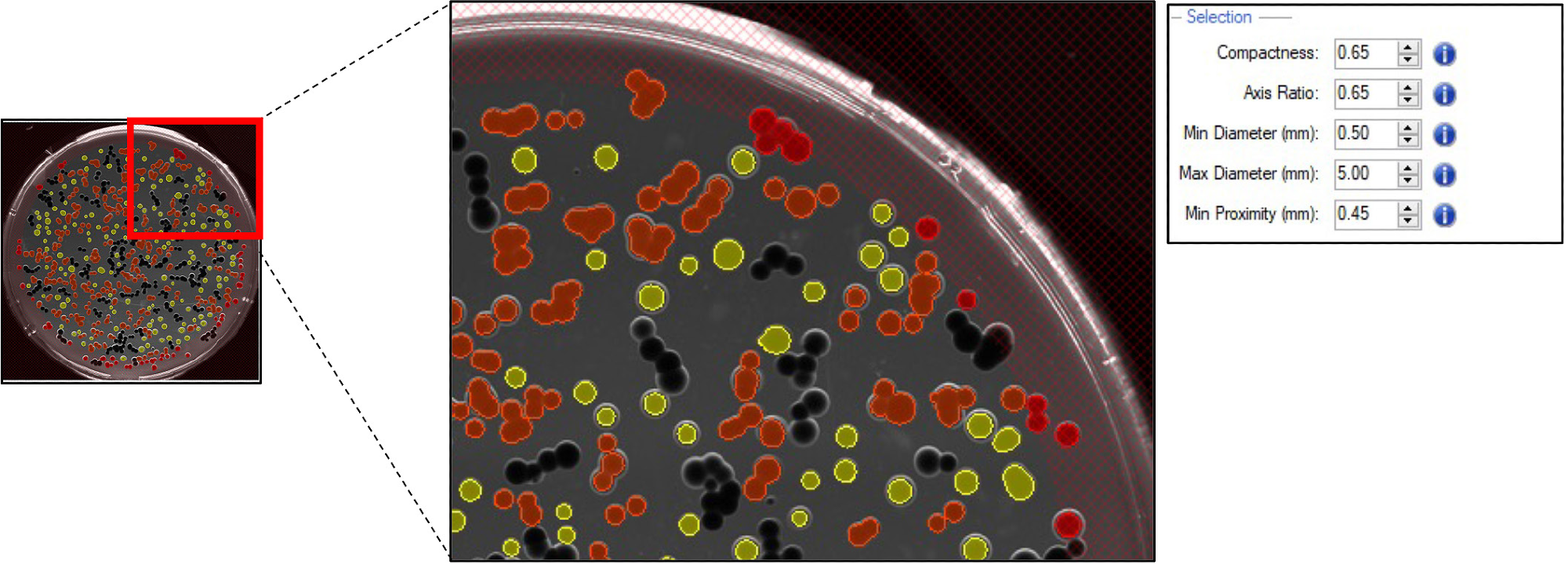 Pickable colonies are displayed in yellow. Orange: colonies excluded according to selection criteria. Top right panel: selection criteria defined for accurate colony picking.