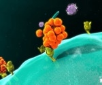 CAR-NK: The next generation in hematological malignancy treatment