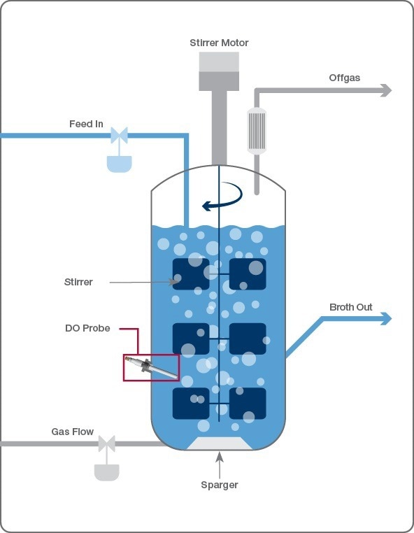 Basic bioreactor layout.