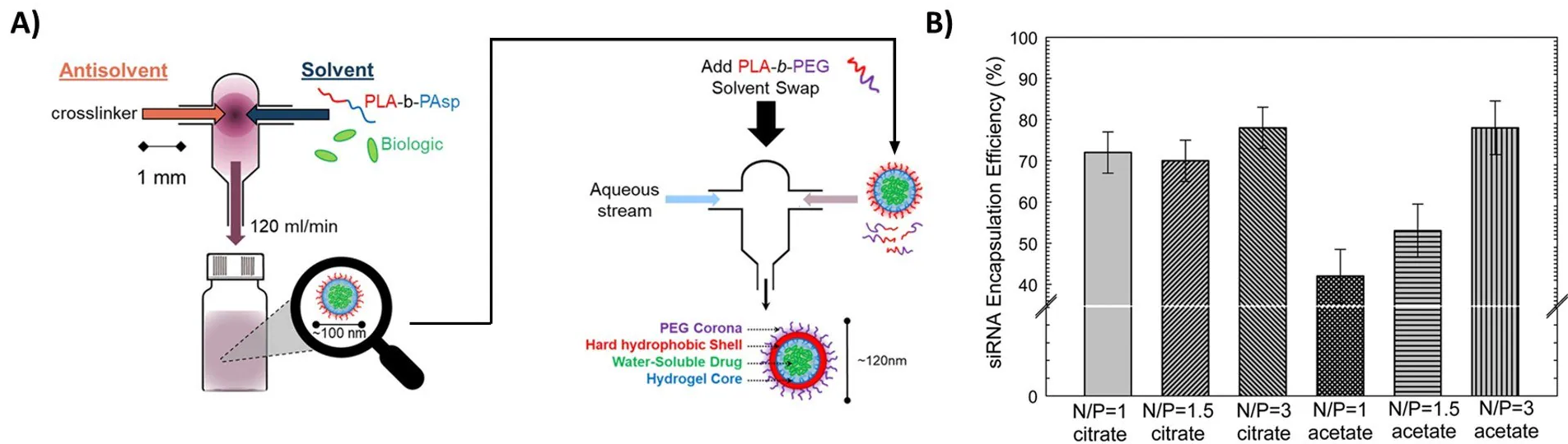 Encapsulation of hydrophilic actives (A) Procedure of iFNP. Precipitation of a biologic or another hydrophilic active occurs by mixing with an organic antisolvent. The resulting inverse nanoparticle is then coated with a second polymer to form a water-dispersible nanoparticle. Reproduced with permission from reference 20, copyright 2014 ACS Publishing. (B) Encapsulation of siRNA using charge pairing. Neutralization of anionic siRNA by cationic lipids allows for the formation of siRNA nanoparticles with very high encapsulation efficiency.
