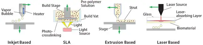 3D printing process for the manufacturing of soft materials for cell encapsulation.