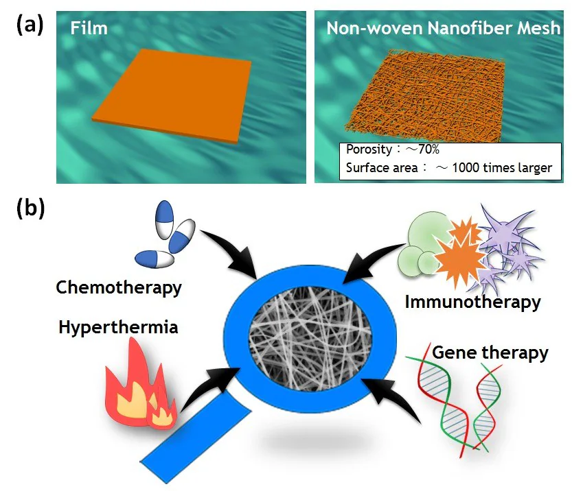 A) Schematic images of film and nonwoven nanofiber meshes. B) Examples of the different types of molecules that can be easily incorporated into nanofibers.
