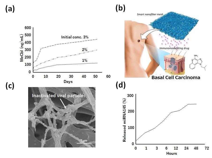 A) Drug release behavior of methylcobalamin (MeCbl) from PCL nanofiber meshes. B) Schematic image of immunomodulating drug-incorporated nanofiber mesh for basal cell carcinoma therapy. C) Scanning electron microscopic image of inactivated viral particlesmodified PCL nanofiber mesh for prostate cancer therapy. D) Drug release behavior of micro RNA 145 from PCL nanofiber mesh.