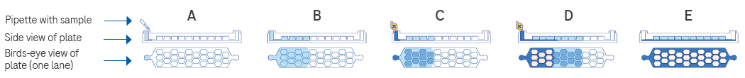 Illustration of how the partitioning fluid separates the sample on the nanowell plate.