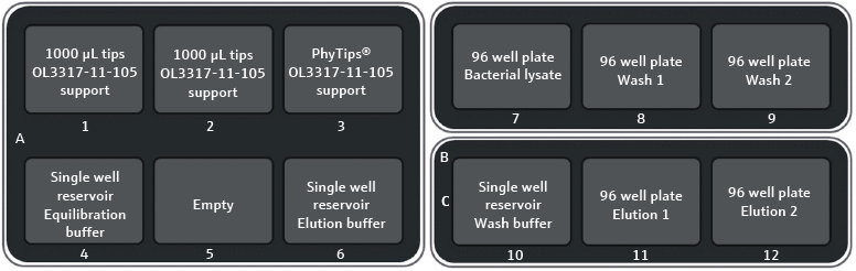 Deck layout of CyBio FeliX for PhyTip® protein purification