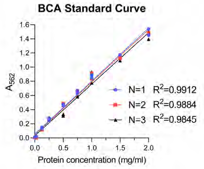 The BCA standard curve was constructed on each occasion to extrapolate unknown protein concentrations from the curve. On each occasion the technical reproducibility and linearity of the curve was performed with a high degree of accuracy.