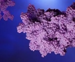 Adeno-associated virus characterization