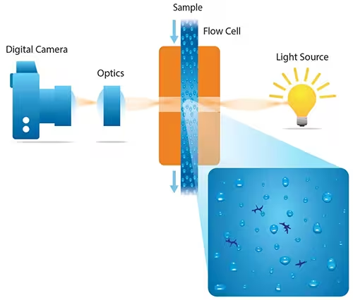 MFI’s high sensitivity allows it to detect translucent particles, like protein aggregates, that are invisible to traditional methods like Light Obscuration. Its image-based approach allows MFI to distinguish between different particle populations within a sample, including protein aggregates, silicon oil and other contaminants.