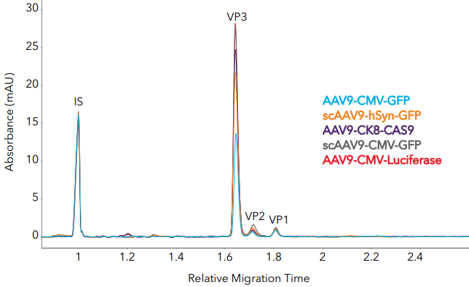 Measuring AAV capsid ratios and impurities in different AAV9 samples with Maurice Turbo CE-SDS. (A) Five AAV samples with different inserts were analyzed with Turbo CE-SDS and analyzed for capsid protein ratio and impurities. (B) Zoom-in to show impurities and AAV genomes.