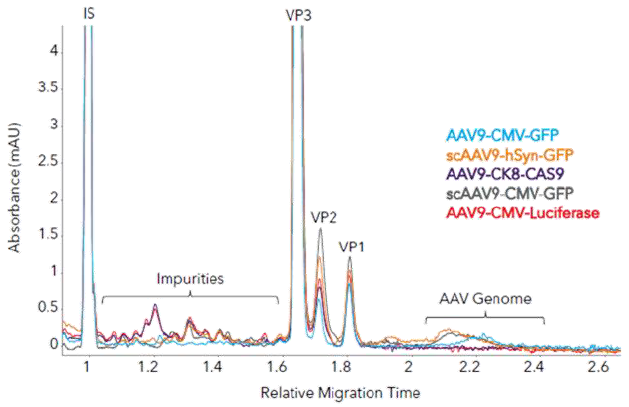 Measuring AAV capsid ratios and impurities in different AAV9 samples with Maurice Turbo CE-SDS. (A) Five AAV samples with different inserts were analyzed with Turbo CE-SDS and analyzed for capsid protein ratio and impurities. (B) Zoom-in to show impurities and AAV genomes.