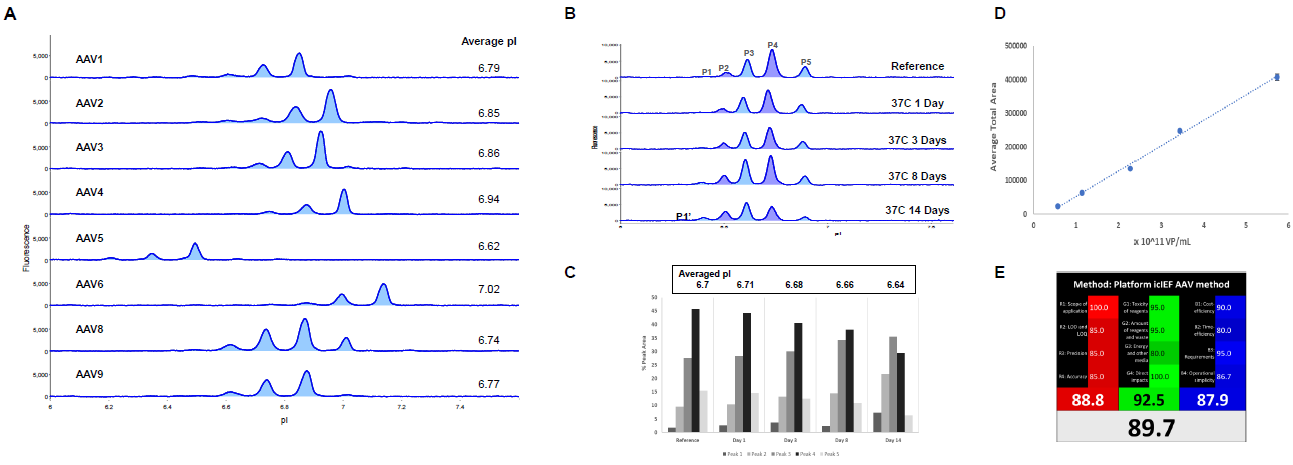 Imaged cIEF AAV Capsid Protein Method. (A) AAVs 1–9 were denatured prior to analysis by icIEF with native fluorescence detection (20s exposure). The averaged pI was determined from 3 injections of each AAV sample. (B) AAV8 (4.7 ×1011 VP/mL) was incubated at 37 °C prior to analysis. (C) Quantitation of AAV8 averaged pI (top panel) and %PA changes over time (bar graph). (D) AAV9 was denatured and then serially diluted two-fold from ~ 6 x 1011 VP/mL to 6 x 1010 VP/mL prior to analysis in triplicate on Maurice. A strong linear relationship was observed, with R2 > 0.99. (E) Evaluation of icIEF method for adherence to the principals of green/white chemistry standards, receiving an 89.7% rating.