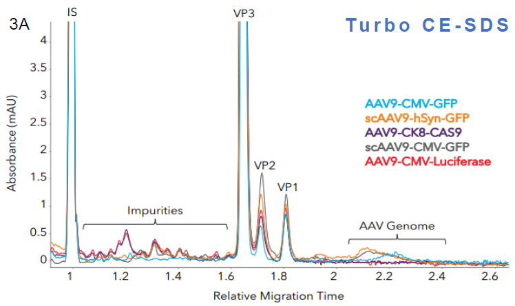 Measuring impurities in different AAV samples with Maurice CE-SDS. Five AAV samples with different inserts were analyzed with A. Turbo CE-SDS and B. CE-SDS PLUS. Both methods were able to detect and quantitate the level of impurities and the AAV genome present in the samples comparably.
