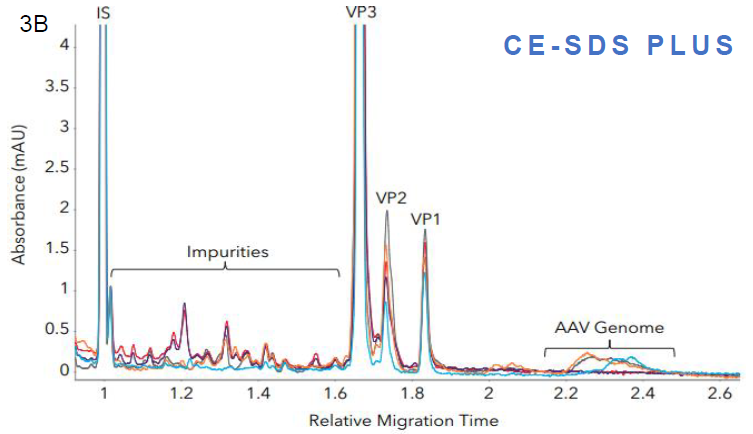 Measuring impurities in different AAV samples with Maurice CE-SDS. Five AAV samples with different inserts were analyzed with A. Turbo CE-SDS and B. CE-SDS PLUS. Both methods were able to detect and quantitate the level of impurities and the AAV genome present in the samples comparably.