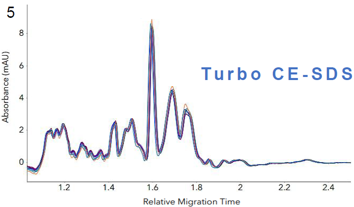 Intra-assay reproducibility of the Turbo CE-SDS cartridge analyzing LVV samples. Profiles of nine sample injections from three different preparations demonstrate high reproducibility of the method, with an RSD value of 1.92% for the total area.