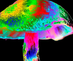 Psychedelic treatments: Transforming mental health and neurodegenerative disease research
