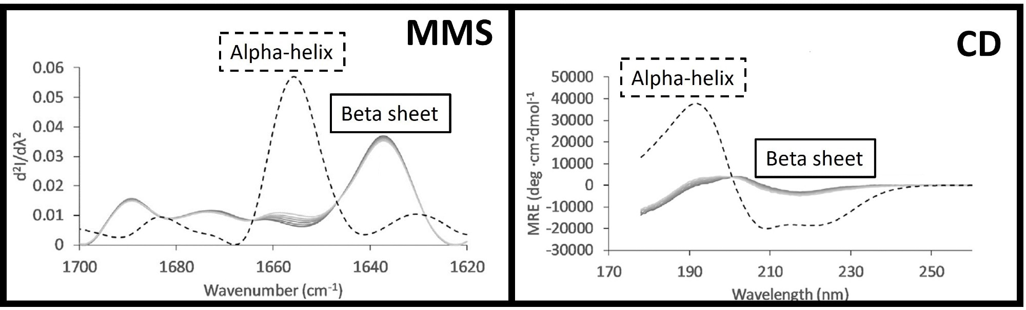 MMS (left) and CD (right) spectra of BSA (dashed lines) and IgG1 (solid lines), highlighting the overlapping features and differing intensities for alpha-helix and beta-sheet structures in CD and compared to the more well-resolved peaks in MMS. This figure was adapted from Kendrick et al.1