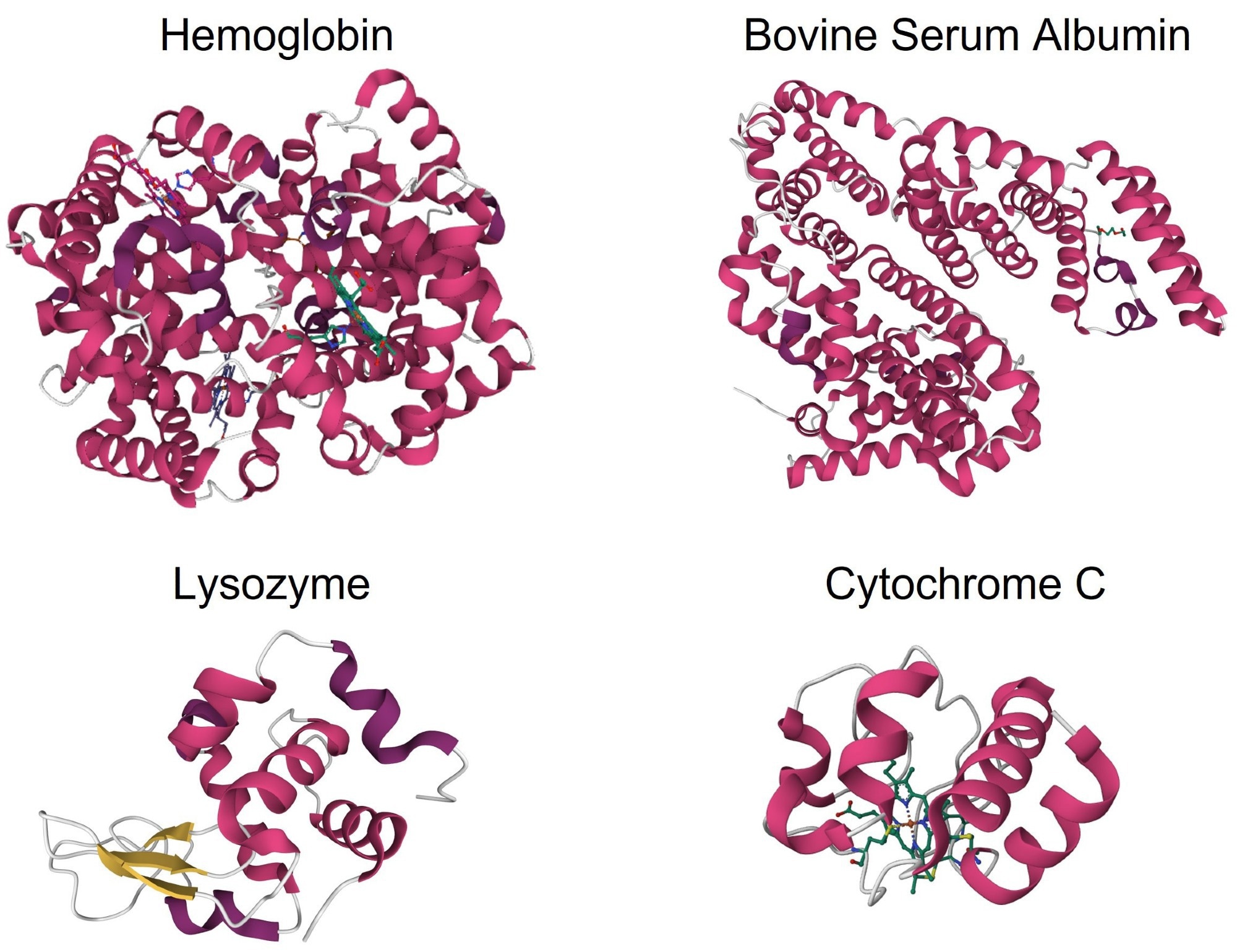 Crystal structures of α-helix-rich proteins: hemoglobin (PDB: 2QSS), BSA (PDB: 3V03), lysozyme (PDB: 1DPX), and cytochrome C (PDB: 1HRC).