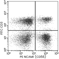 Flow cytometric analysis of Human NCAM1 (CD56) expression on human whole blood lymphocyte.