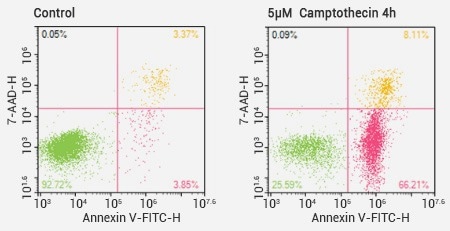 Flow cytometer analysis results of Annexin V/7-AAD double staining.